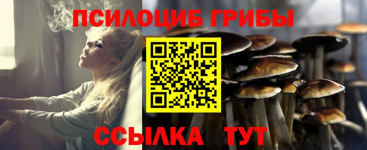 Псилоцибиновые грибы мицелий  Благодарный 